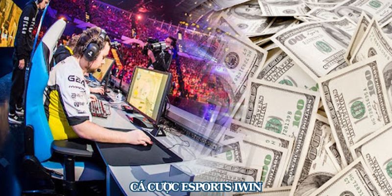 Iwin Esports Betting – An Exciting Game in Lulubox Pro 1 ca cuoc esports iwin 1